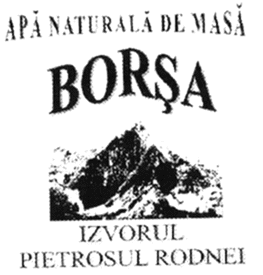 APĂ NATURALĂ DE MASĂ BORŞA IZVORUL PIETROSUL RODNEI