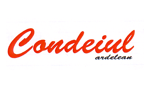 CONDEIUL ARDELEAN