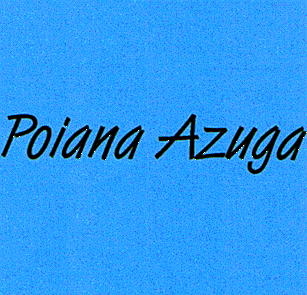 POIANA AZUGA