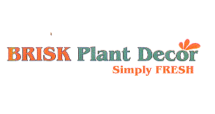 BRISK PLANT DECOR SIMPLY FRESH