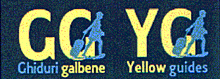 GG GHIDURI GALBENE YG YELLOW GUIDES