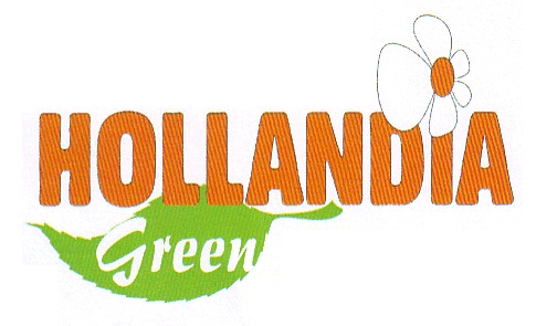 HOLLANDIA GREEN
