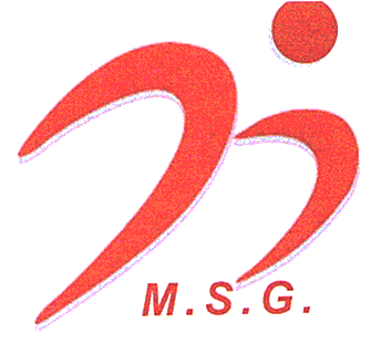 MSG