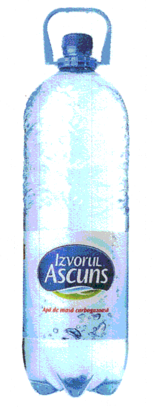 IZVORUL ASCUNS