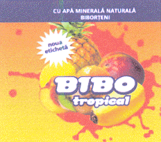 CU APA MINERALA NATURALA BIBORTENI BIBO TROPICAL