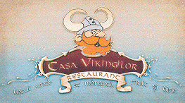 CASA VIKINGILOR LOCUL UNDE SE MANANCA MULT SI BINE