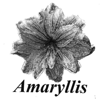 AMARYLLIS