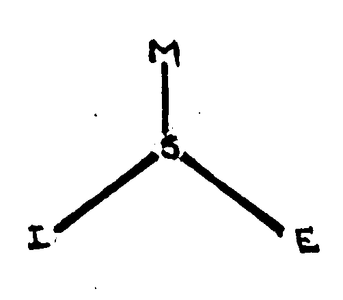 MSIE