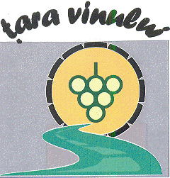 ŢARA VINULUI