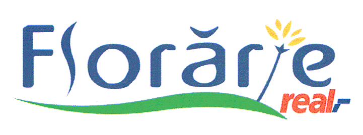 FLORARIE REAL