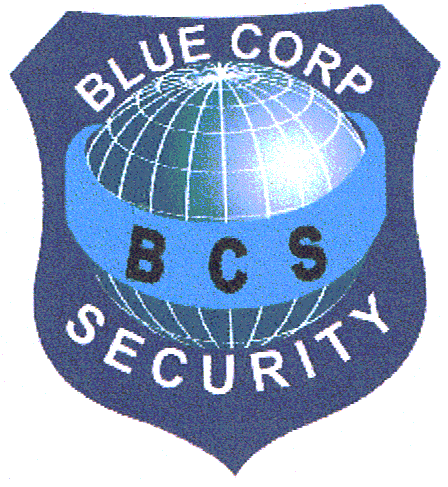B C S BLUE CORP SECURITY
