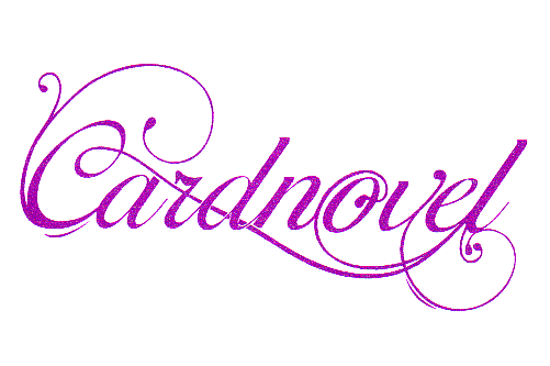 CARDNOVEL
