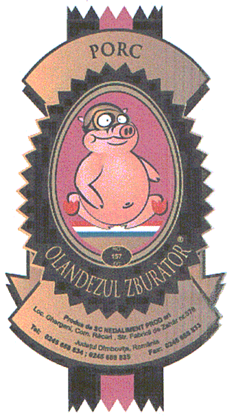 PORC OLANDEZUL ZBURATOR