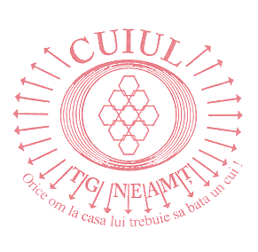 CUIUL TG NEAMT ORICE OM LA CASA LUI TREBUIE SA BATA UN CUI