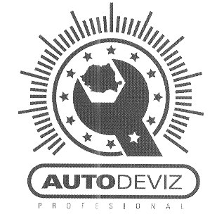 AUTODEVIZ PROFESIONAL