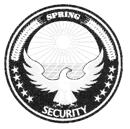SPRING SECURITY