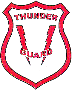 THUNDER GUARD