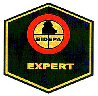 BIDEPA EXPERT