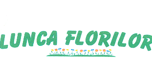 LUNCA FLORILOR
