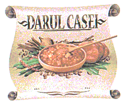 DARUL CASEI