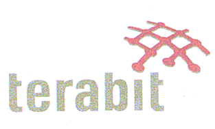 TERABIT