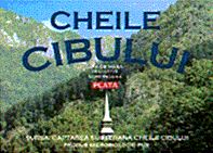 CHEILE CIBULUI
