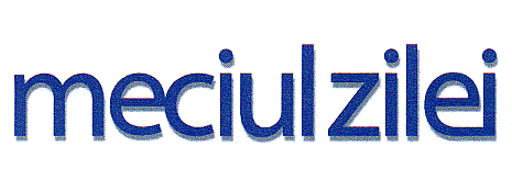 MECIUL ZILEI