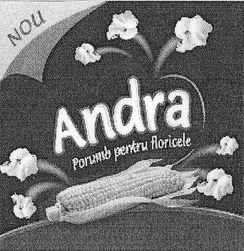 ANDRA PORUMB PENTRU FLORICELE