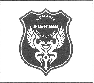 FIGHTER GUARDIANS