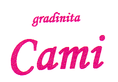 GRADINITA CAMI