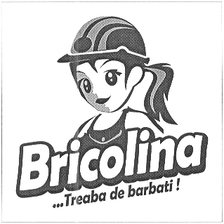 BRICOLINA ...TREABA DE BARBATI!