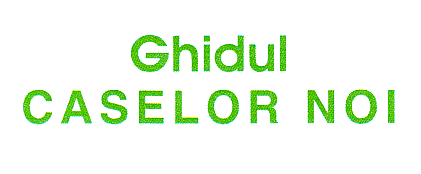 GHIDUL CASELOR NOI
