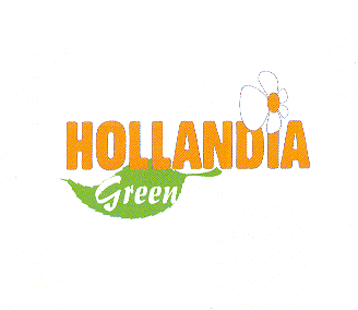 HOLLANDIA GREEN