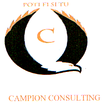 C CAMPION CONSULTING POTI FI SI TU