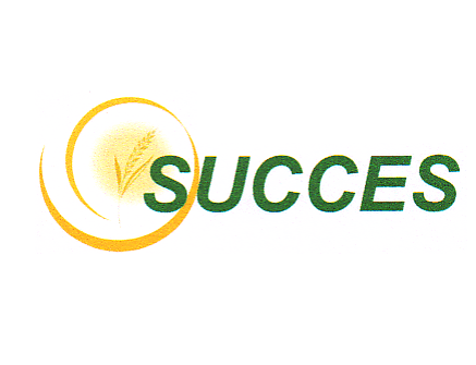 SUCCES