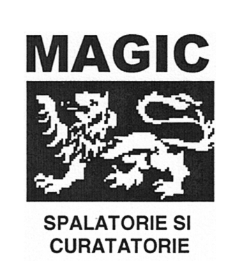 MAGIC SPALATORIE SI CURATATORIE