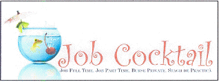 JOB COCKTAIL JOB FULL TIME JOB PART TIME BURSE PRIVATE STAGII DE PRACTICA