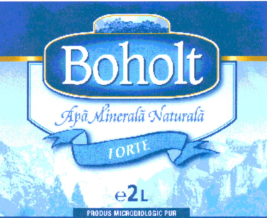 BOHOLT FORTE