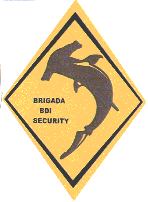 BRIGADA BDI SECURITY