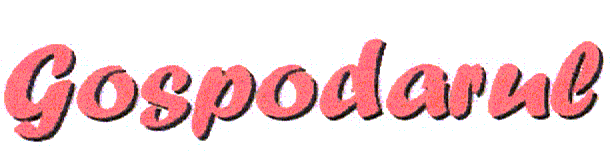 GOSPODARUL