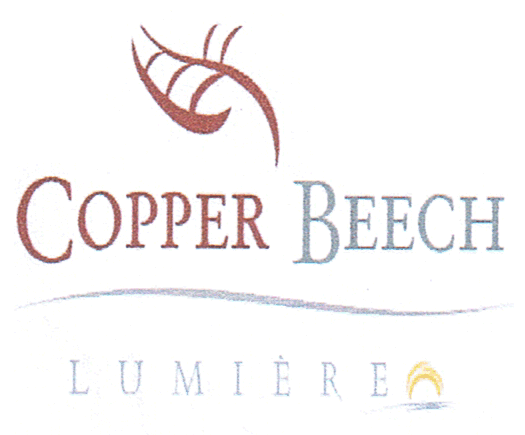 COPPER BEECH LUMIERE