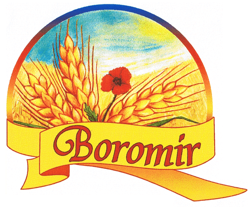 BOROMIR