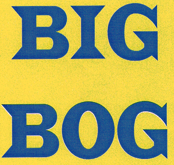 BIG BOG
