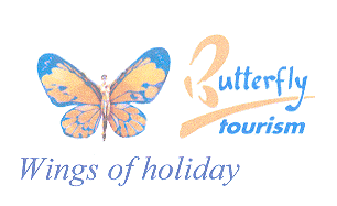 BUTTERFLY TOURISM WINGS OF HOLIDAY