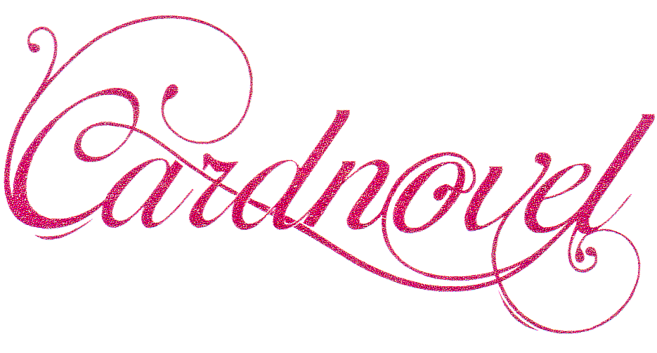 CARDNOVEL