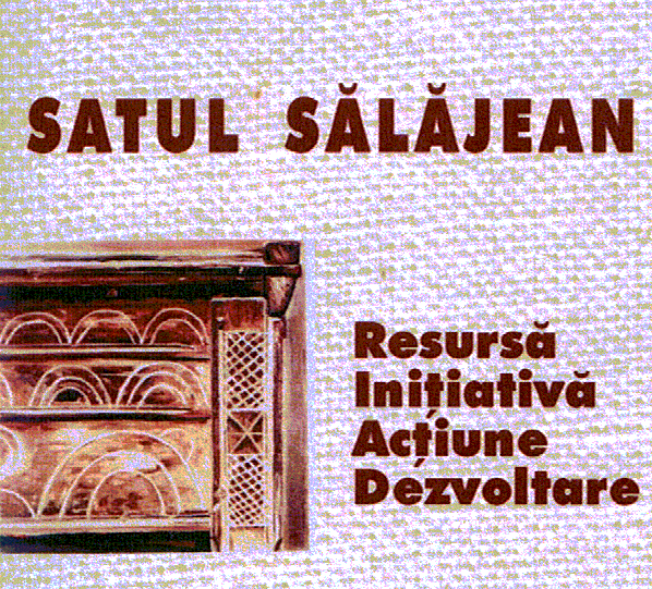 SATUL SĂLĂJEAN RESURSĂ INIŢIATIVĂ ACŢIUNE DEZVOLTARE
