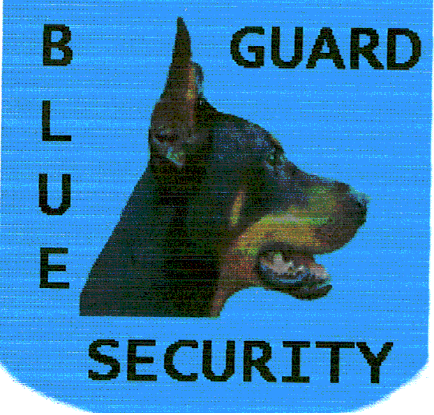 BLUE SECURITY GUARD