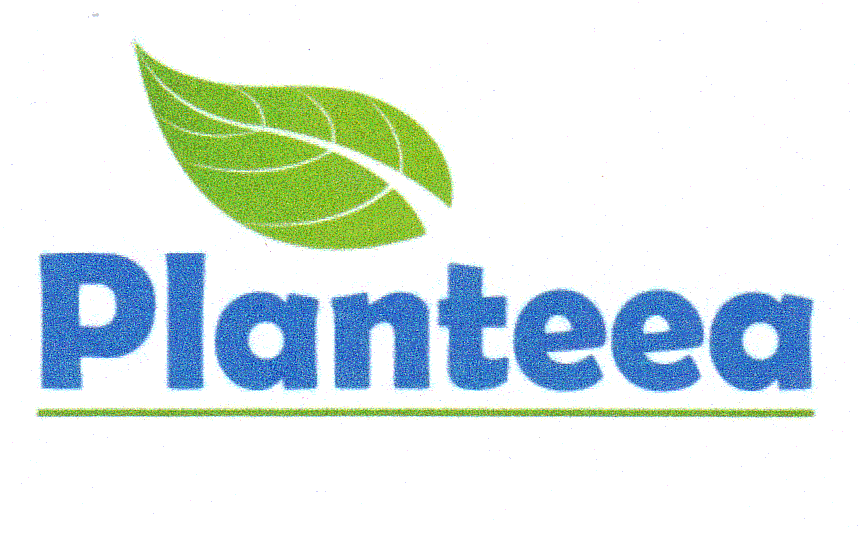 PLANTEEA