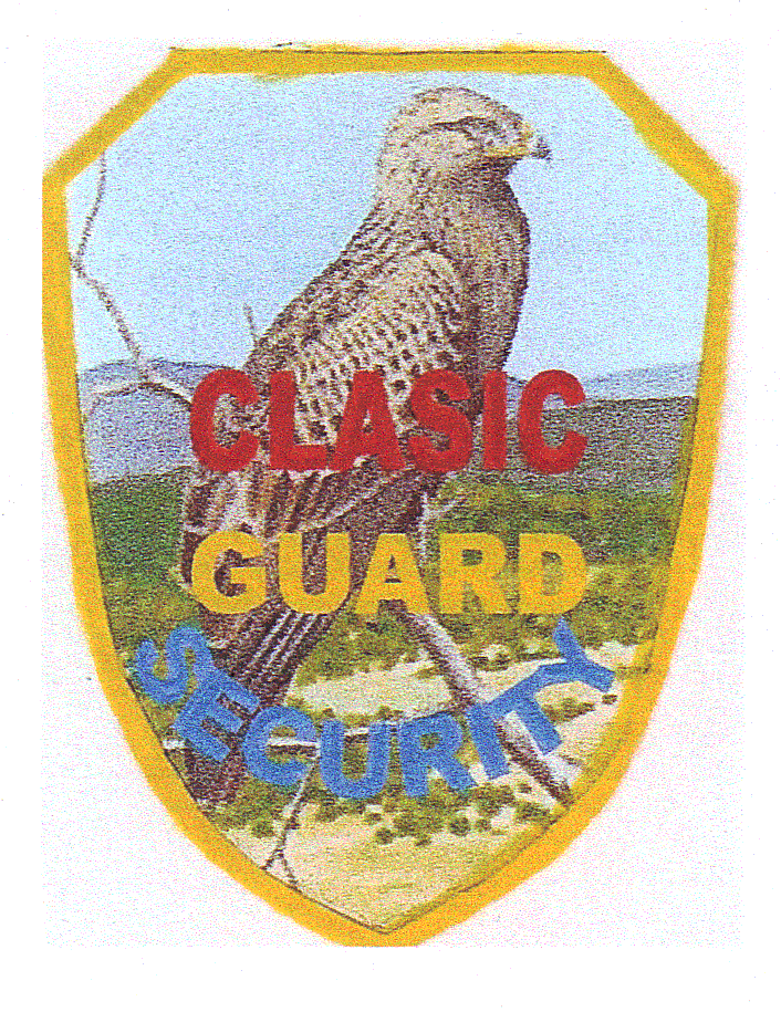 CLASIC GUARD SECURITY