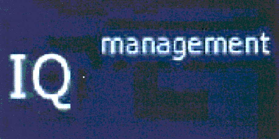 IQ MANAGEMENT